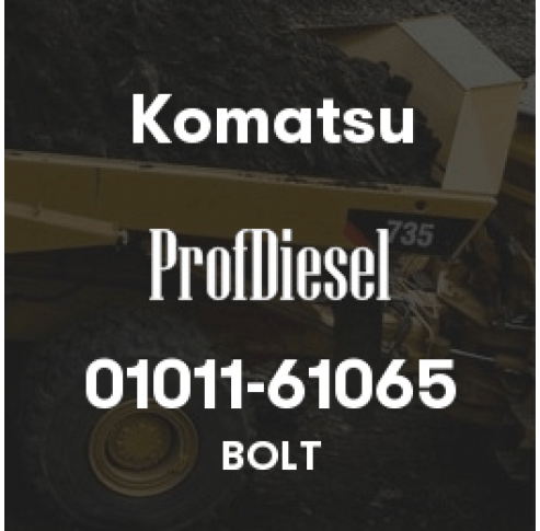 01011-61065