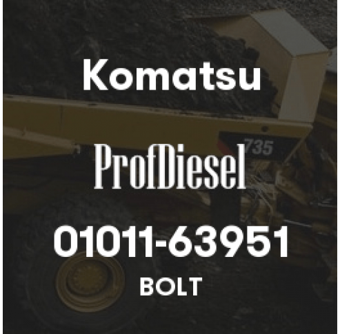 01011-63951