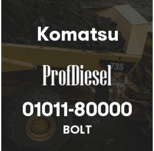 01011-80000