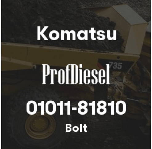 01011-81810