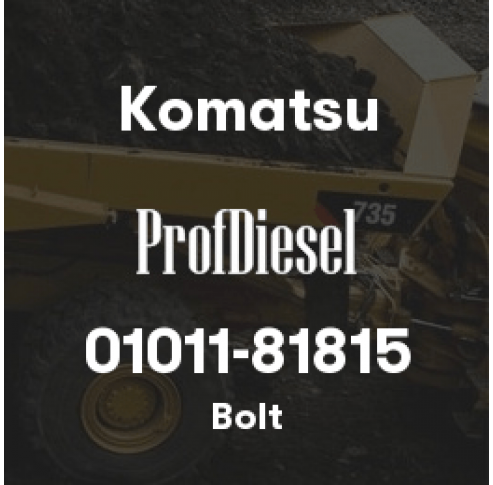 01011-81815