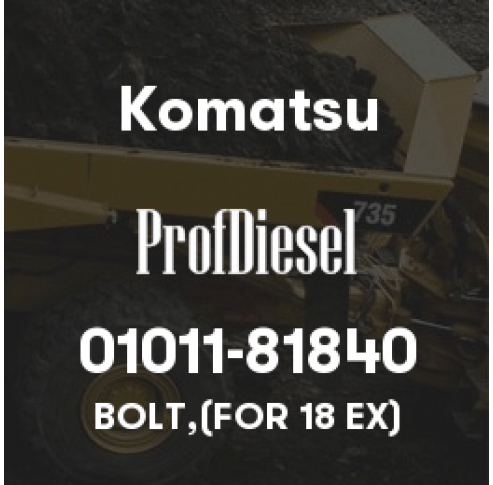 01011-81840