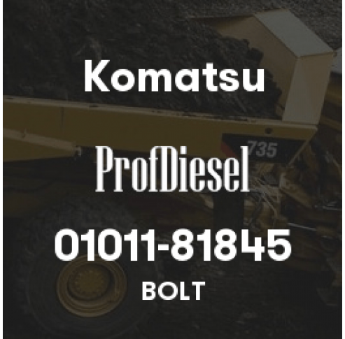 01011-81845