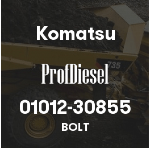 01012-30855
