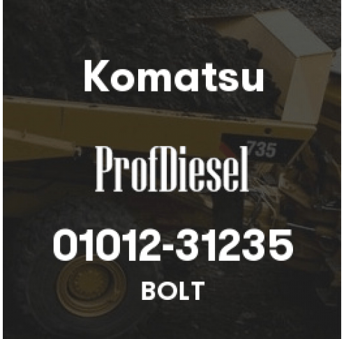 01012-31235