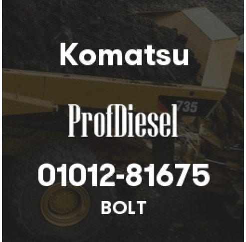 01012-81675