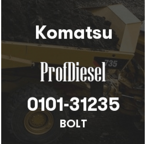 0101-31235