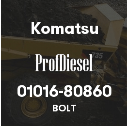 01016-80860