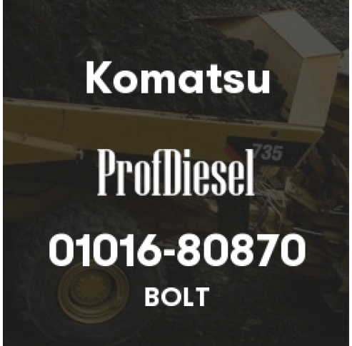 01016-80870