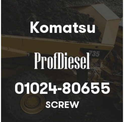 01024-80655