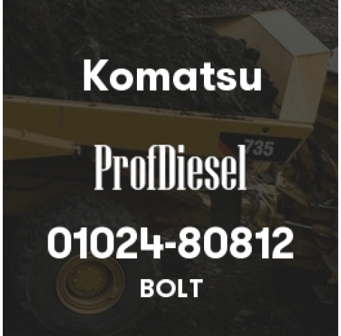01024-80812