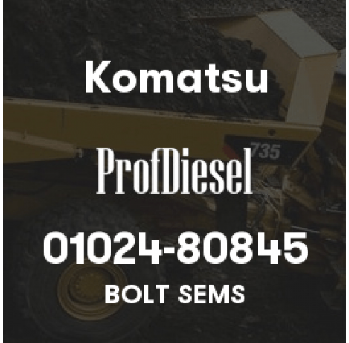 01024-80845
