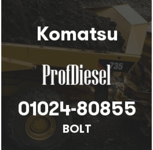 01024-80855