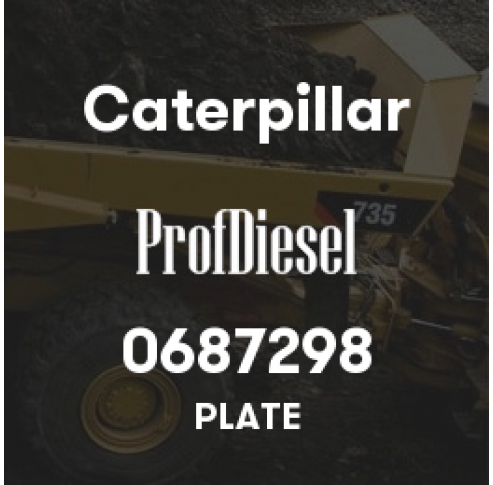 0687298