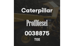 0038875