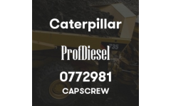 0772981